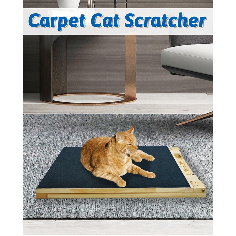 cat Scratcher
