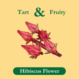 Tadin Hibiscus Herbal Tea, Caffeine Free, 24 Tea Bags Per Box, Pack of 6