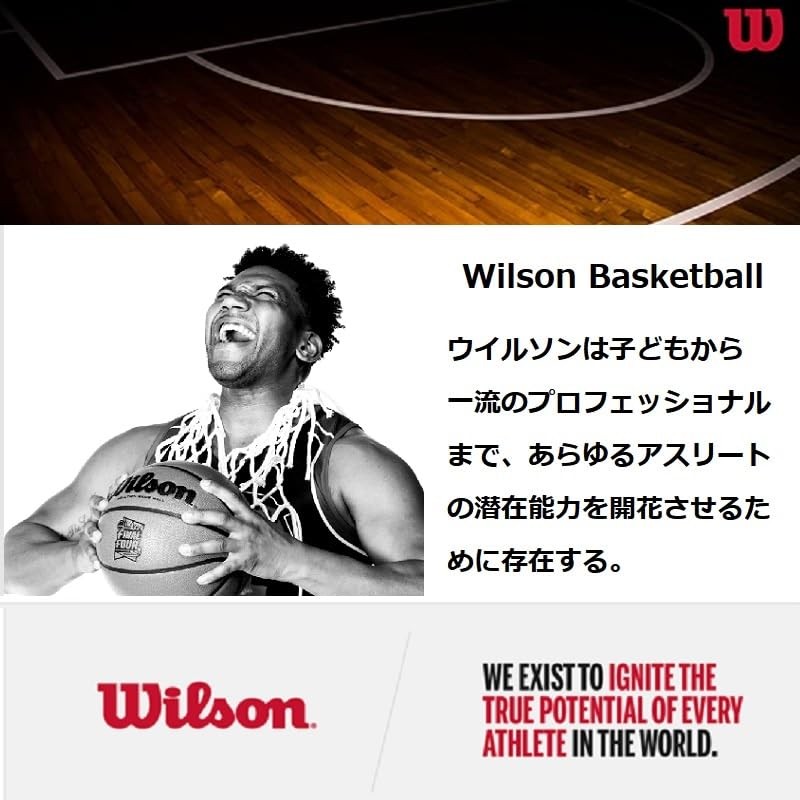 Wilson Basketball, Team Alliance Model, PHOENIX SUNS, Indoor/Outdoor, Mixed Leather,