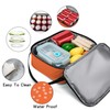 BEIMILY Lunch Box for Men Women Adults,Small Insulated Lunch Bag
