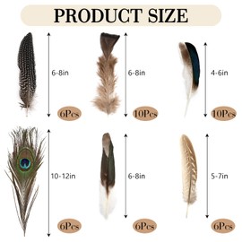 48 Stück Bastelfedern-Dekorationen, Federn zum Basteln, 5 Stile Deko Bastelfedern in Verschiedenen Farben, Gemischte Natürliche Fasanenfedern für DIY-Projekte, Hüte, Masken und Festdekorationen