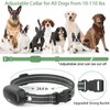 Delupet Dog Shock Collar - Electric Dog Training Collar with