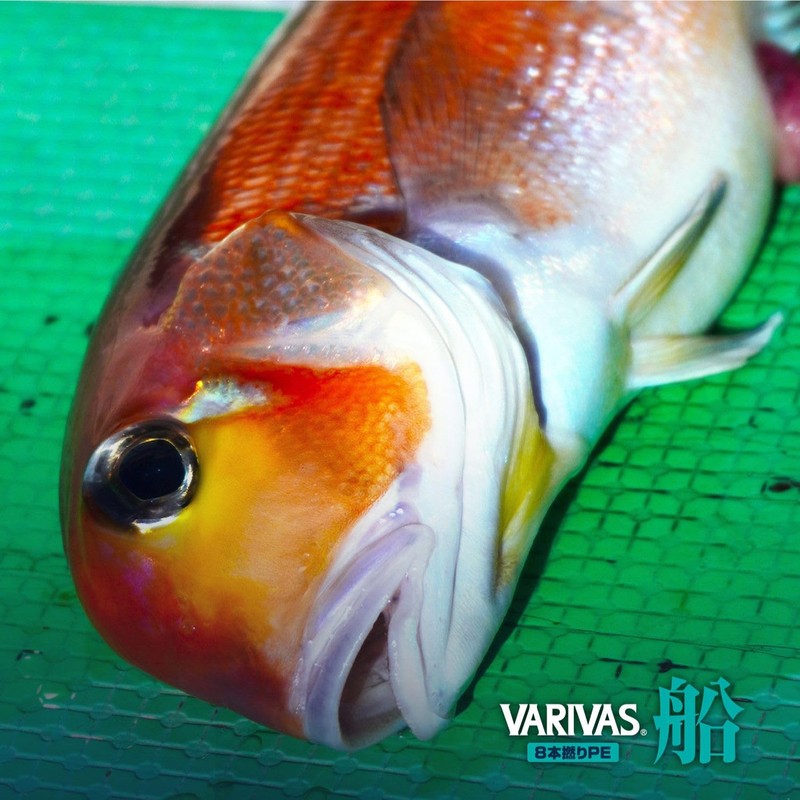 VARIVAS PE8 Ship Multi Color 200m 1.0