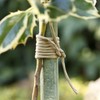 La Cordeline CJN25 Paper Iron Wire Natural / Hook /