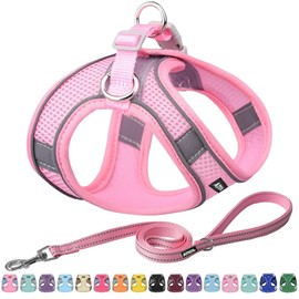 AIITLE Small Harness for Puppy with A Leash - Summer Dog Vest Harness with Super Breathable Mesh, Reflective No-Pull Pet Harness for Outdoor Walking, Running for Small Dogs, Cats Pure Pink XXS