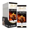Lindt EXCELLENCE Caramel Sea Salt Dark Chocolate Bar, Dark Chocolate
