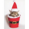 Sellers Publishing RSVP Small Sleeping Kitten in Cup Decorated as