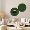 Eurofoto Iceland Moss Preserved – Moss for Crafts and Decoration