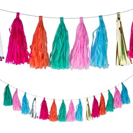 Bubblegum Tassel Garland for Birthday Parties