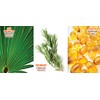 Champú y acondicionador para el crecimiento del cabello 2 en