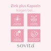 Sovita Zinc Plus Capsules | Valuable Zinc and Biotin |