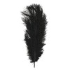 Rayher Piume di Struzzo, Nero, 30 Cm, Busta 1 Pz,
