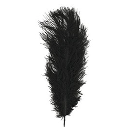 Rayher Piume di Struzzo, Nero, 30 Cm, Busta 1 Pz, 8510401
