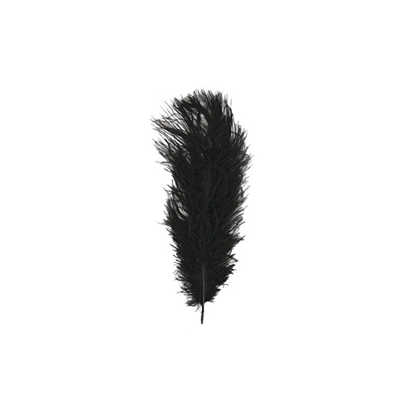 Rayher Piume di Struzzo, Nero, 30 Cm, Busta 1 Pz,