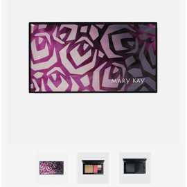 Mary Kay Compact Perfect Palette  Unfilled New in Box FREE SHIPPING