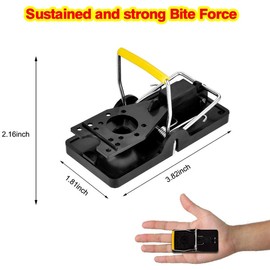 Mouse Traps, Mouse Traps Indoor for Home Quick Effectively, [2025 Edition] Mice Trap for House Indoor Kill Safe for Family and Pet 12 Packs