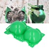 10Pcs 12cm Plant Propagation Ball Root Growing Controller Rooting Germination