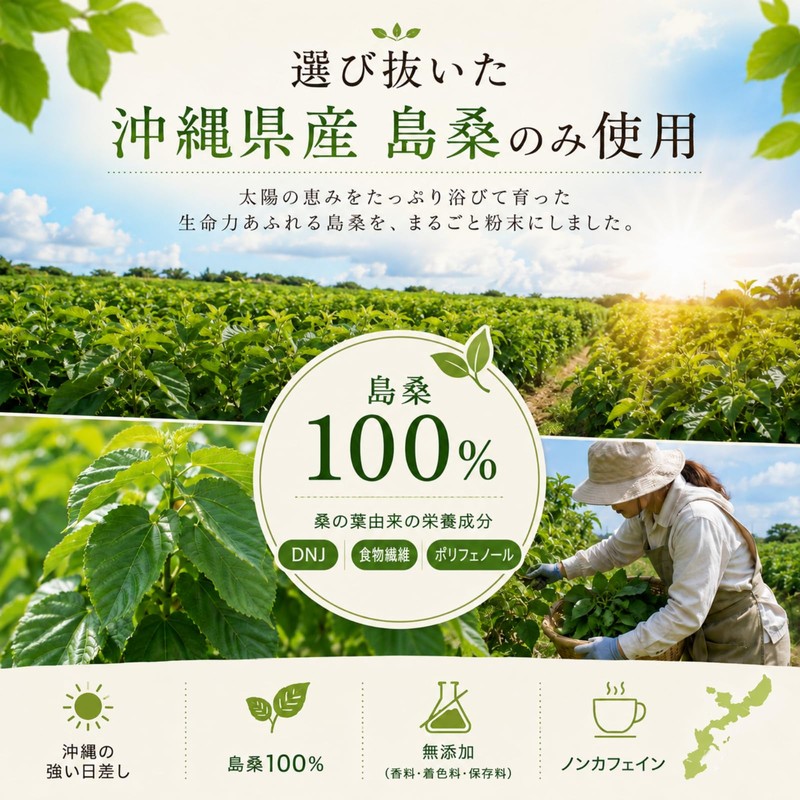 【Dietitian-Supervised】Okinawa Mulberry Leaf Tea, Island Mulberry, No Pesticides, 180 Servings,