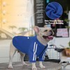 PUMYPOREITY Dog Hoodie for French Bulldog, Pullover Stretchy Dog Hoodies