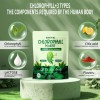 Swiyie Chlorophyll Powder – 100mg Detox, Gut & Breath Support,