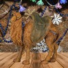 MaMeMi Nativity Figurine Camel [Height Approx. 9.5 cm, Hand-Painted Made
