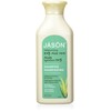 Jason Moisturizing 84% Aloe Vera Shampoo, 473ml