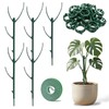 5pack Monstera Plant Support – Stackable Indoor & Outdoor Support,