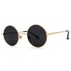 Pro Acme Retro Small Round Polarized Sunglasses for Men Women