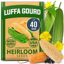 HOME GROWN Non GMO Luffa Seeds (Luffa aegyptiaca) 40 Heirloom Loofah Gourd Seeds for Planting High Germination Rate - Make Sponges or Harvest Young Loofahs for Eating