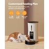Petory Timed Automatic Cat Feeders - 4L Programable Dry Food