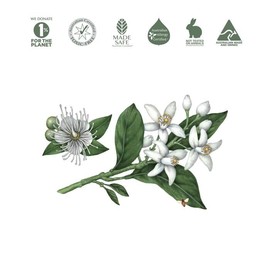 Koala Eco Multi-Purpose Kitchen Cleaner Lemon Myrtle & Mandarin 500ml