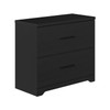2-Drawer Wood Lateral File Cabinet, Filing Cabinets Anti-Tilt Mechanism for