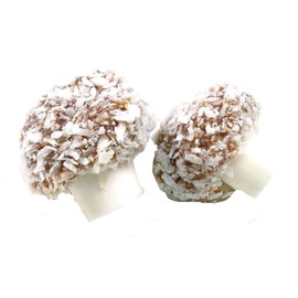 Coconut Mushrooms 500 Gram Bag (1/2 Kilo)