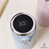 Importeek 10pz Termo Digital Lector Temperatura Acero Hermetico 350ml