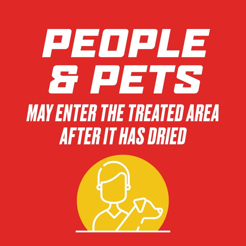 Ortho Outdoor Insect Killer Concentrate Kills Listed Ants, Spiders, Fleas