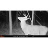 Wildgame Innovations Insite-V 2-Pack Cellular Trail Camera 32 MP, 80ft