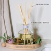 Benevolence LA Pacific Driftwood Reed Diffuser | Eucalyptus, Fig &