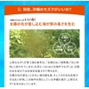 シードコムス 沖縄県産 フコイダン サプリメント 沖縄モズク由来 長命草 ゴーヤー (約3ヶ月分 180粒)