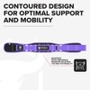 Weight Lifting Belt for Men and Women - Great for