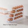 Egg Holder for Fridge, Auto Rolling Egg Dispenser/Organizer/Storage/Container for Refrigerator,