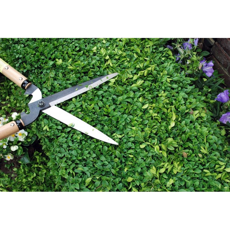 Okatsune No. 231 Trimming Shears, Type 65, Short Handle