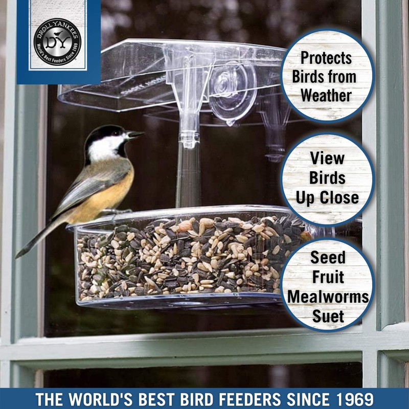 Droll Yankees Observer Window Bird Feeder with Suction Cups, 2
