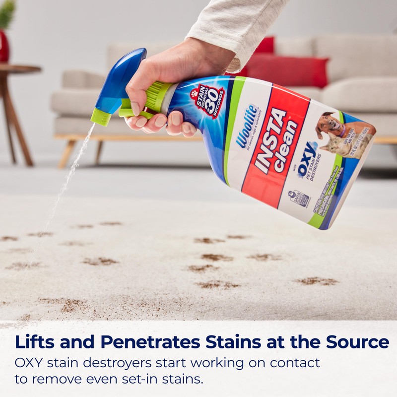 Bissell INSTAclean Pet Stain Remover, 1684