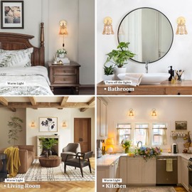 Shenmoyl Vintage Battery Operated Wall Sconce, Wireless Battery Powered Rose Wall Sconces with Remote Control, RGB Dimmable LED Plug in Wall Light for Bedside Bedroom Living Room (Amber)