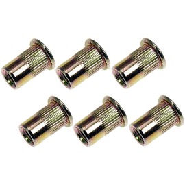 Dorman 963-254D: Rivet Nut - M6
