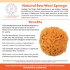 Spa Destinations Natural Sea Wool Sponge 6-7" Natural Renewable Resource.