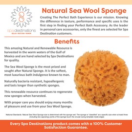 Spa Destinations Natural Sea Wool Sponge 6-7" Natural Renewable Resource.