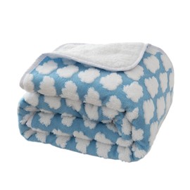 Amarrirose Waterproof Dog Blanket 100 x 110 cm Outdoor Dog Mat Machine Washable Comfortable and Soft Sofa Cover with Comfortable Cotton Cat Blanket Warm and Soft Light Blue