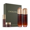 Missha Chogongjin Youngan Total Care Essential 2-Piece Special Set / 미샤 초공진 영안 토탈케어 에센셜 2종 기획세트