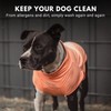 Spark Paws Dog T-Shirt, Quick Dry Soft Stretchy, Lightweight Breathable